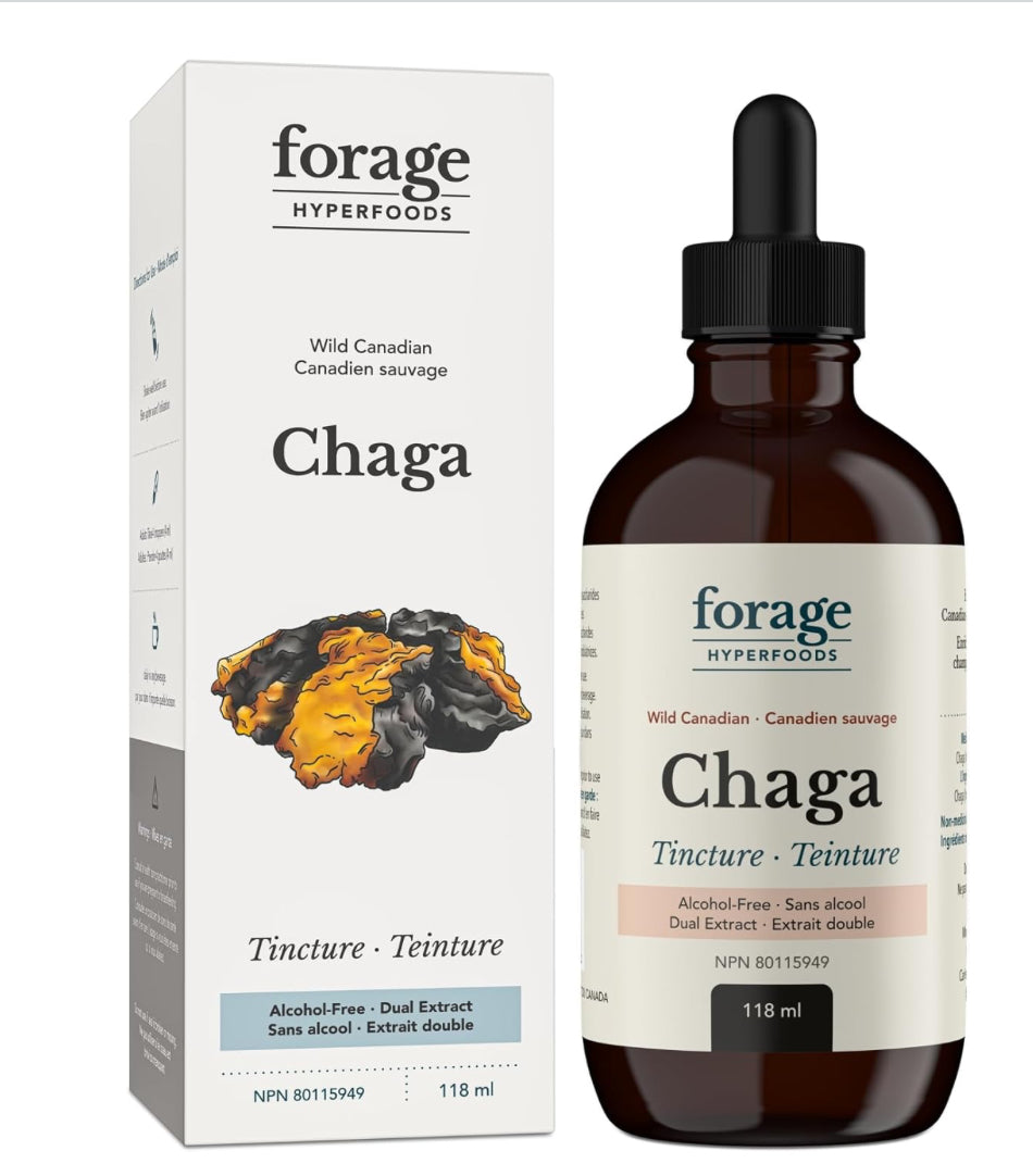 Chaga Tincture 118ml - Lighten Up Shop