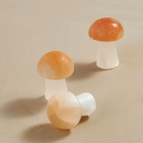 Selenite Mushroom Orange Top - Lighten Up Shop