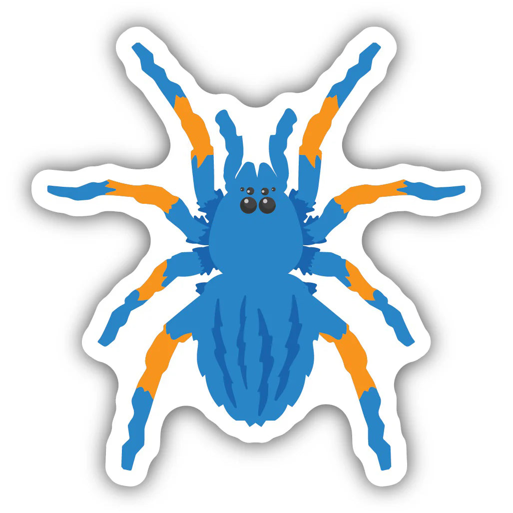 Blue Spider Sticker