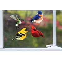 Bird Screen Door Savers