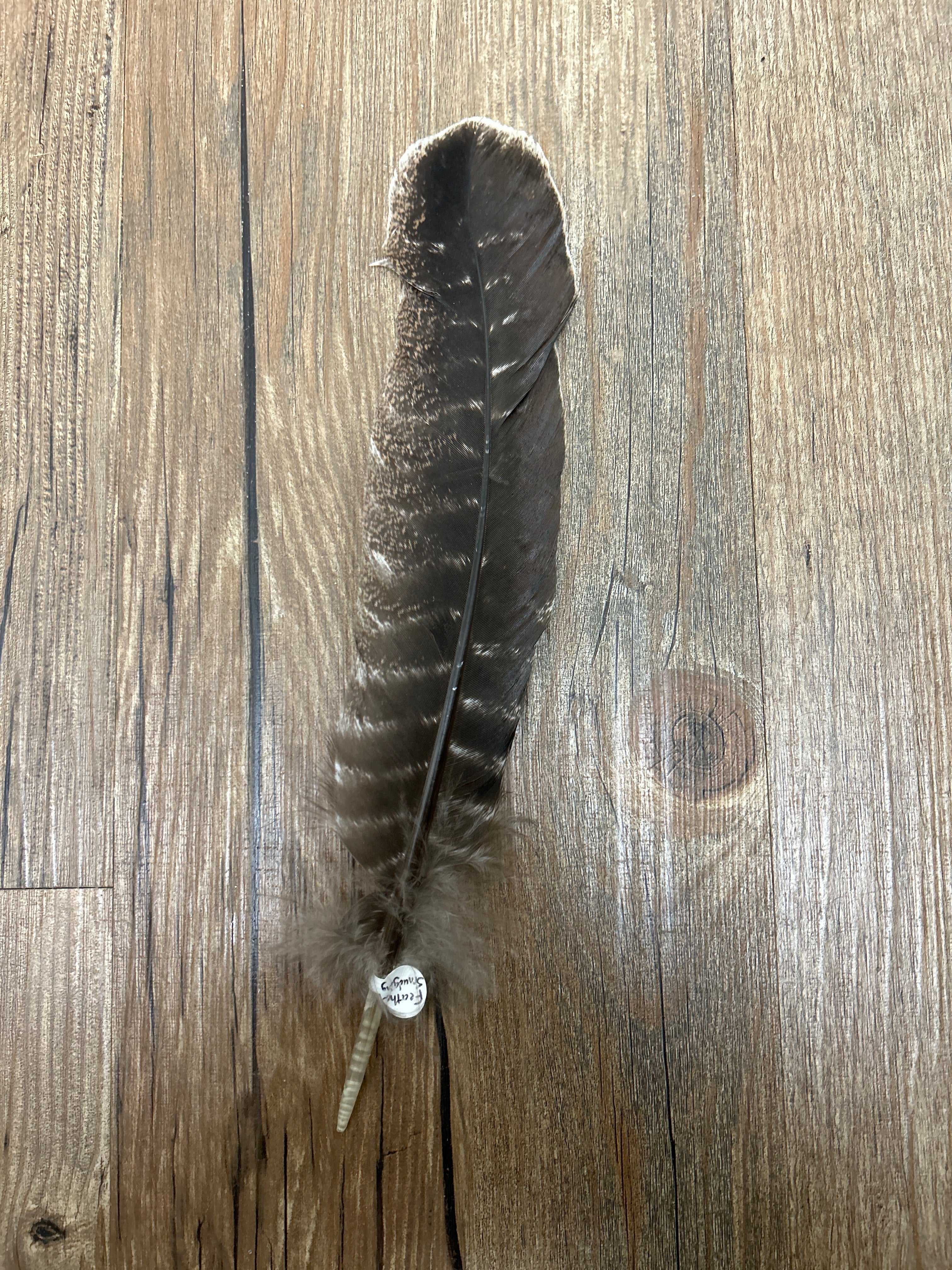 Smudging Feather For Cleansing