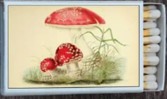 Match Box - Lighten Up Shop