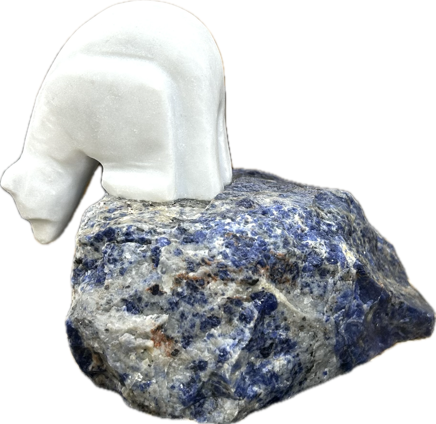 Onyx Bear on Sodalite