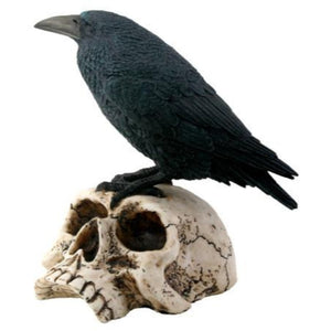 Raven on Skull Statue