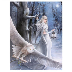 Midnight Messenger Canvas Print