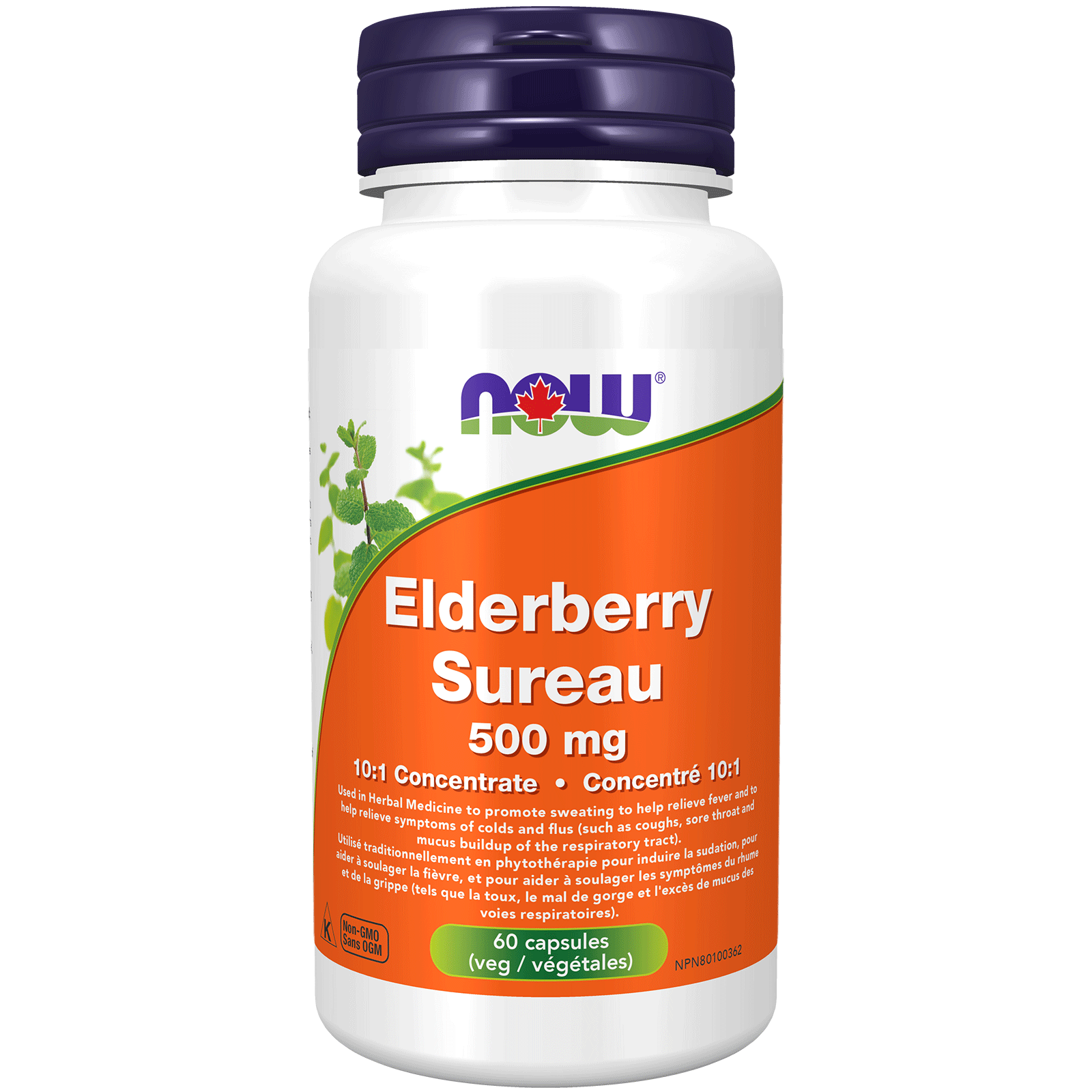 Elderberry 500mg 60 capsules - Lighten Up Shop