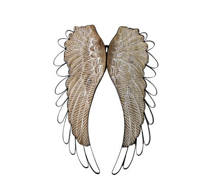 Angel Wings - Lighten Up Shop