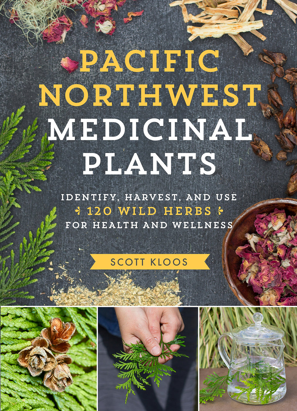 Pacific Northwest Medicinal Plants - Lighten Up Shop